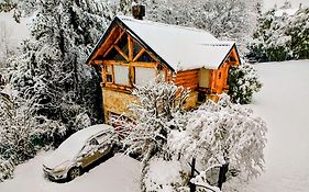Blue Bird House